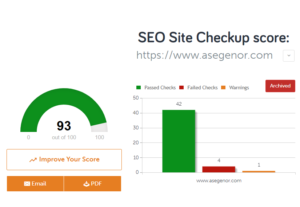 SEO Site Checkup Tool