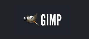 gimp