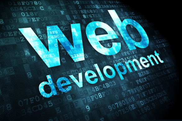 web design and development company in delhi